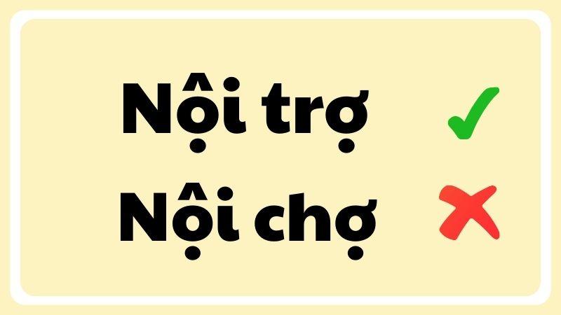 Nội trợ hay nội chợ là đúng chính tả?