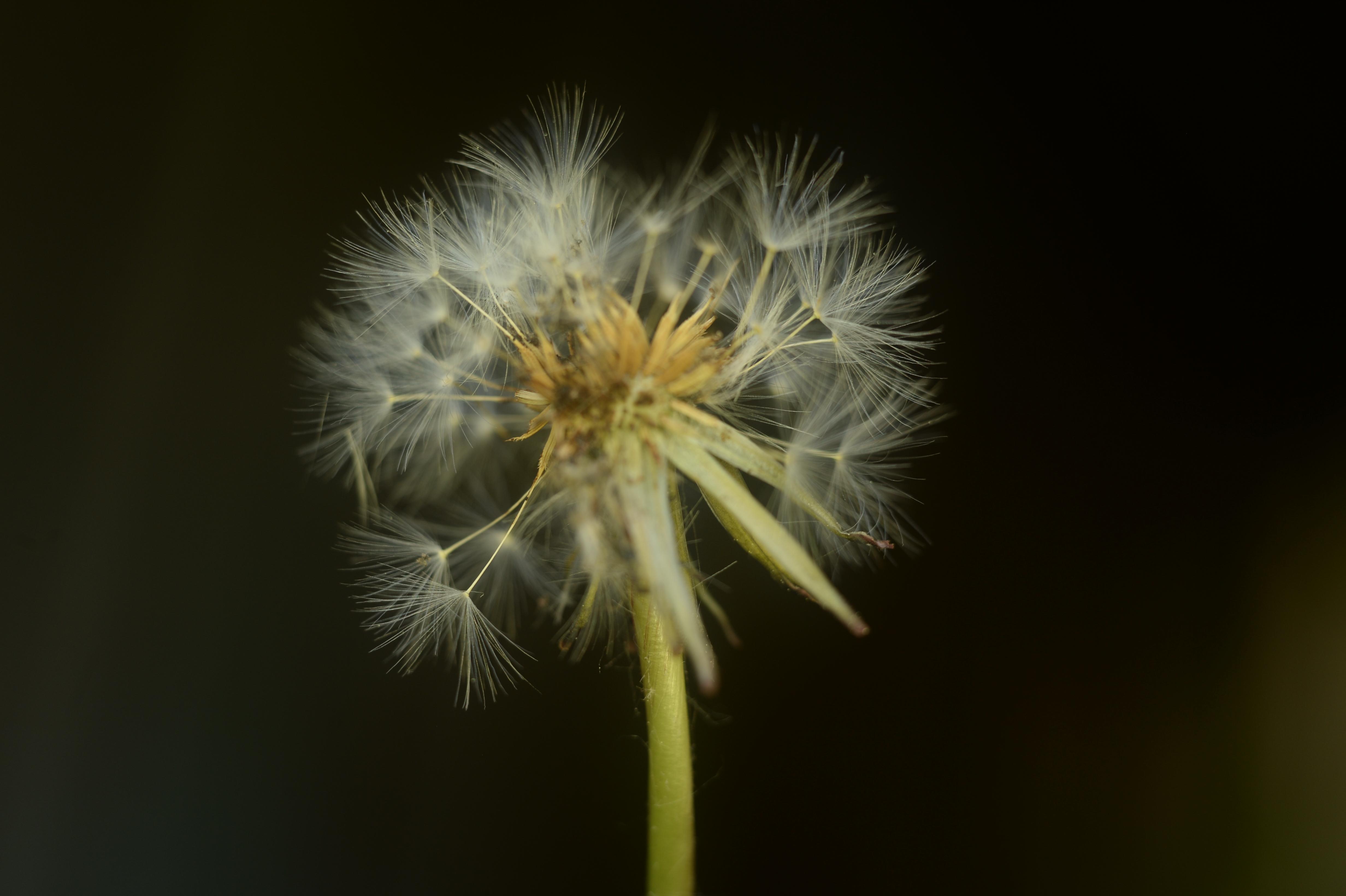 How to focus stack in Photoshop CS6 for tack-sharp images