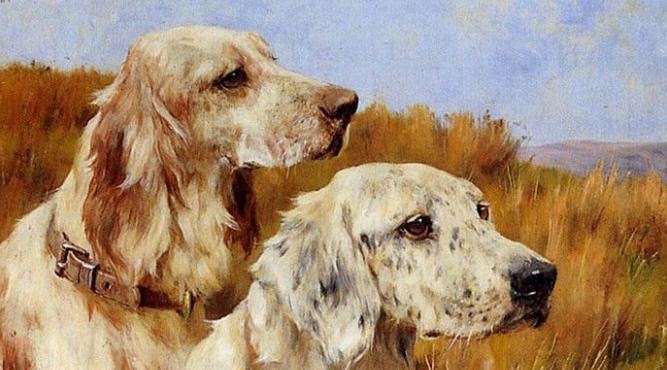 Sinh năm 2018 (2k18) năm nay 2026 bao nhiêu tuổi