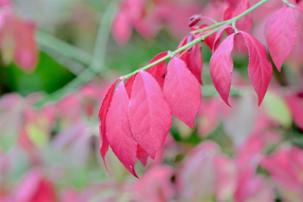 Con tủi thân và cay đắng quá