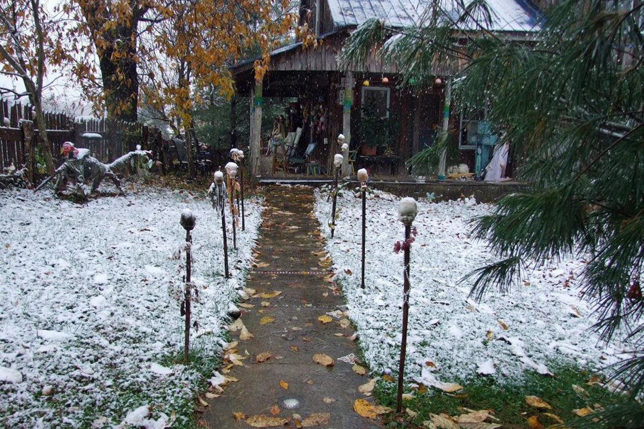 Kentucky’s Home for Wayward Babydolls