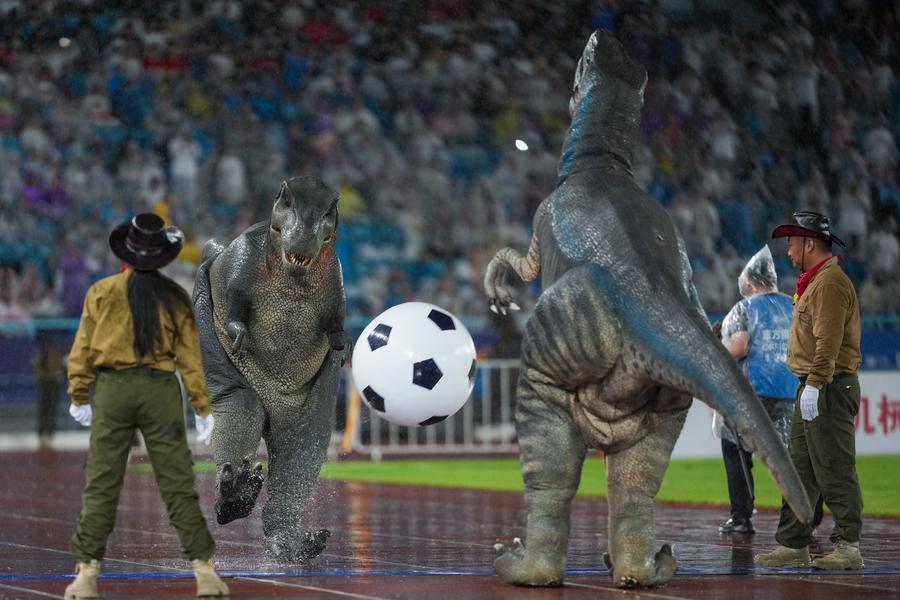 China Buzz: Dinosaurs, memes, and city pride: How 'Su Chao' took China by storm