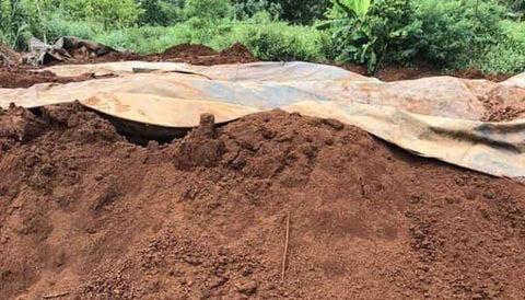 Đất Phù Sa - Những Thông Tin Hữu Ích                              – Công nghệ xanh 4.0