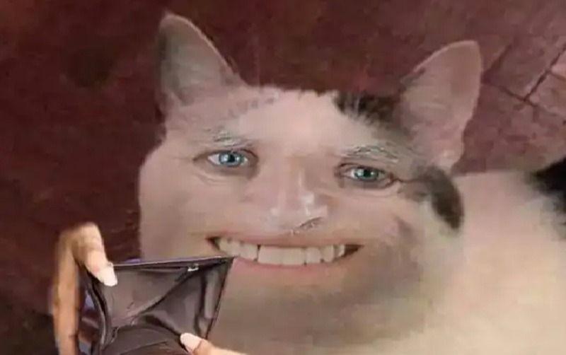 Tổng Hợp Meme Cười Đểu Hài Hước, Hay Sử Dụng Nhất