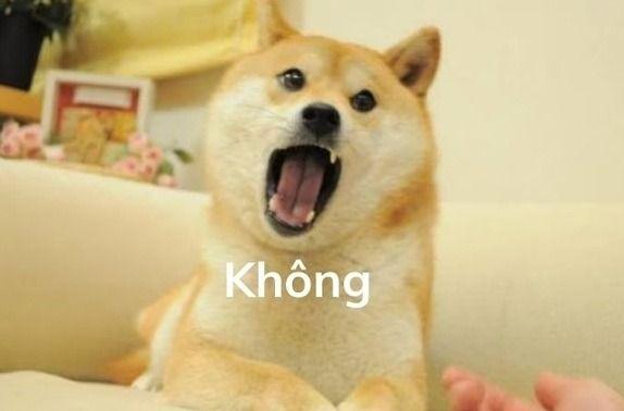 Tuyển Tập Không Meme Hài Hước, Thú Vị Nhất Năm 2026