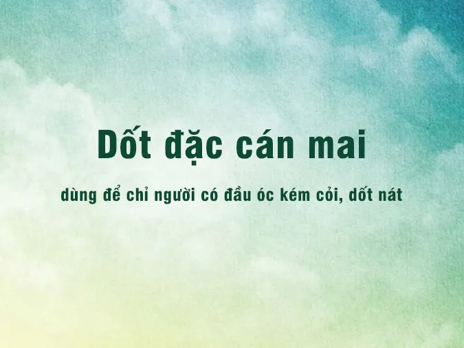 "Dốt đặc cán mai" là gì? Giải mã ý nghĩa ẩn dụ trong câu thành ngữ