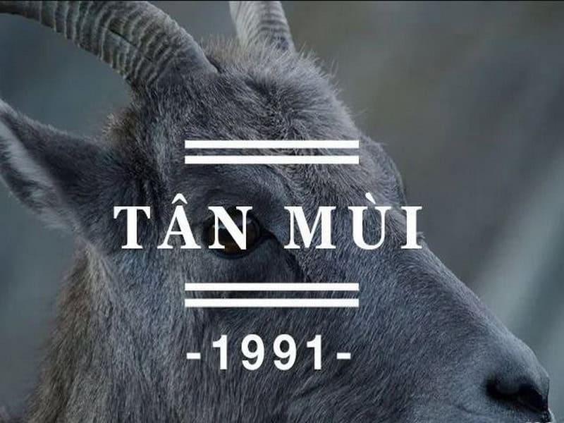 3 năm tam tai tuổi Tân Mùi 1991: Năm 2026 là thử thách lớn nhất cần vượt qua