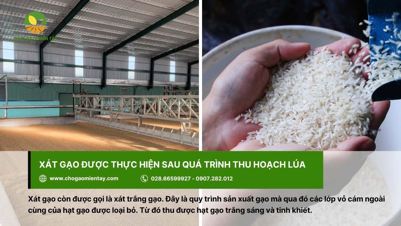 Thế nào là xát trắng hạt gạo? Quy trình xay xát gạo đúng cách