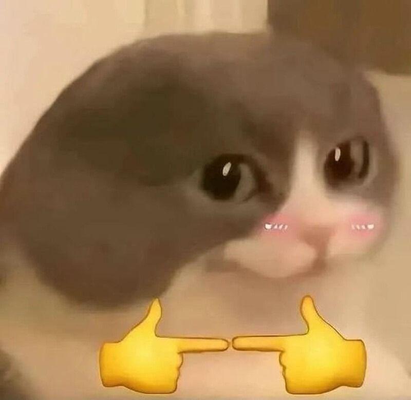 Giới thiệu chung về meme ngại