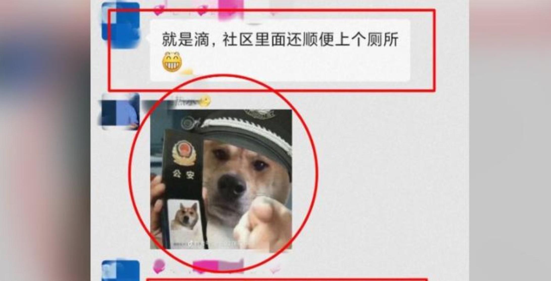 Bi bat giu vi chia se meme len mang anh 1