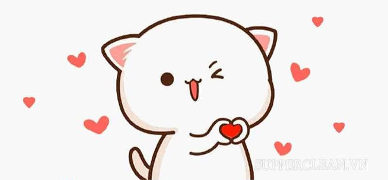 Cư tê là sự dễ thương, đáng yêu hết mức