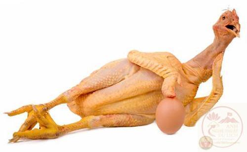 Chết cười ảnh chế