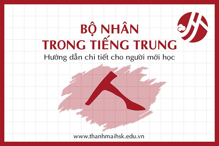 Bộ Nhân trong tiếng Trung: Hướng dẫn chi tiết cho người mới học