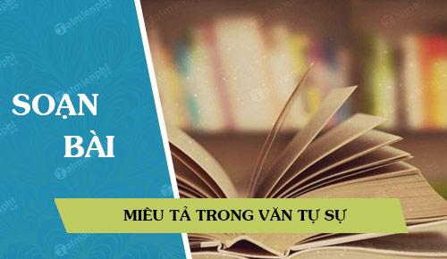 soan bai mieu ta trong van tu su
