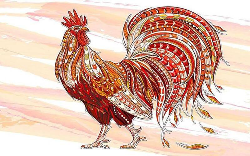 Tử vi tuổi Dậu 2025 chi tiết từng năm sinh