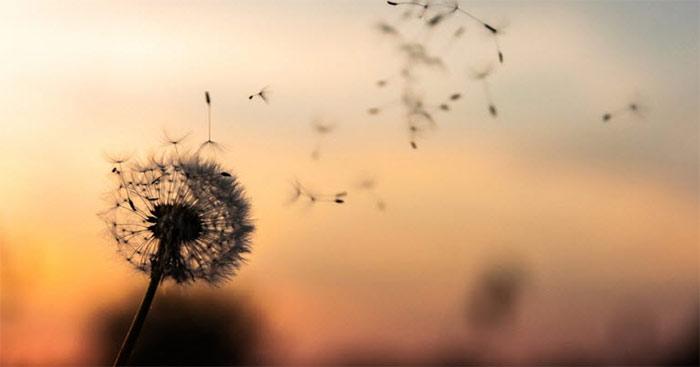 Văn mẫu lớp 11: Phân tích khổ cuối bài thơ Vội vàng của Xuân Diệu                                   Sơ đồ tư duy & 17 bài phân tích 10 câu cuối bài Vội vàng