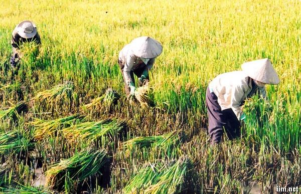 Tranh vẽ, hình ảnh bác sĩ đang khám bệnh cho trẻ bé mầm non | VFO.VN